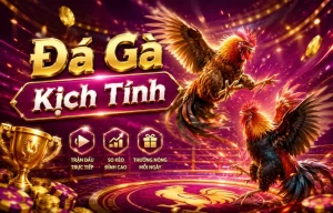 Giao diện sảnh Đá Gà lawlib hiển thị trận live và khu VIP