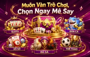 lawlib giao diện mobile trên điện thoại